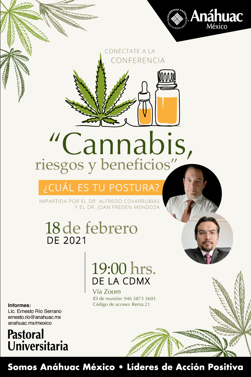 Cannabis, riesgos y beneficios. ¿Cuál es tu postura?