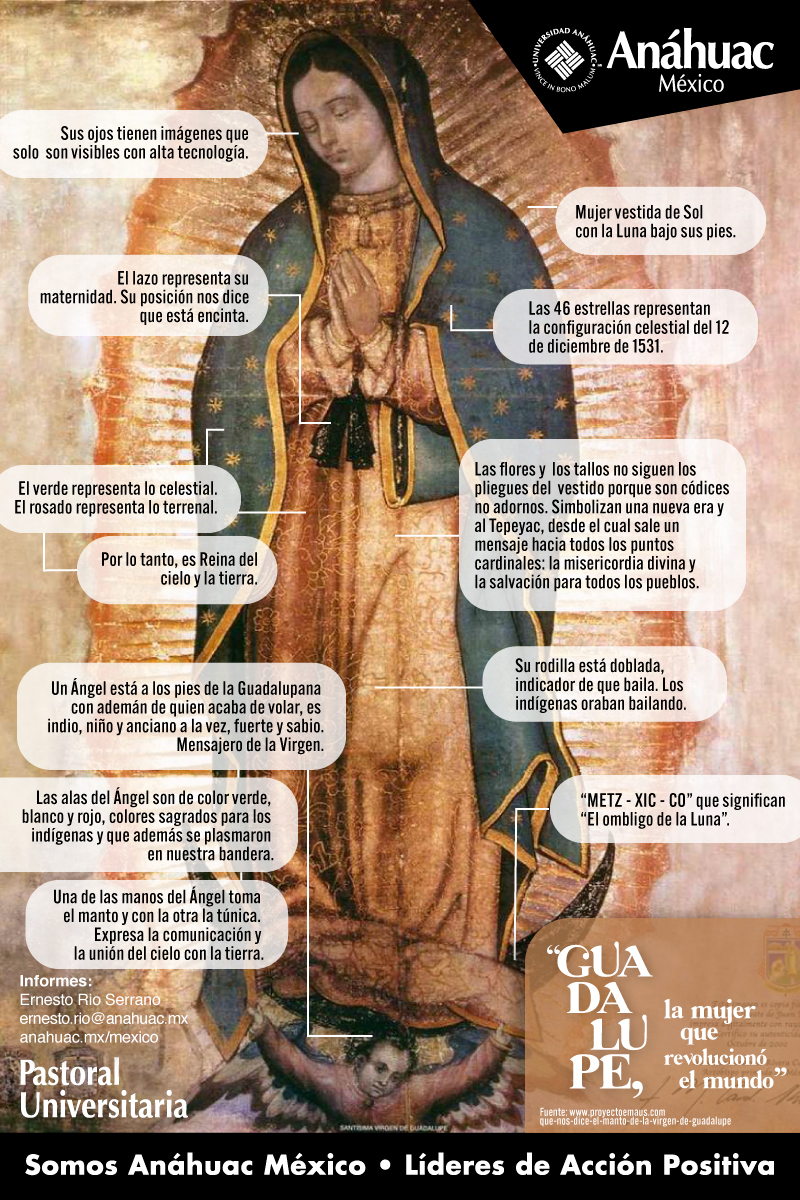 “Guadalupe, la mujer que revolucionó al mundo”