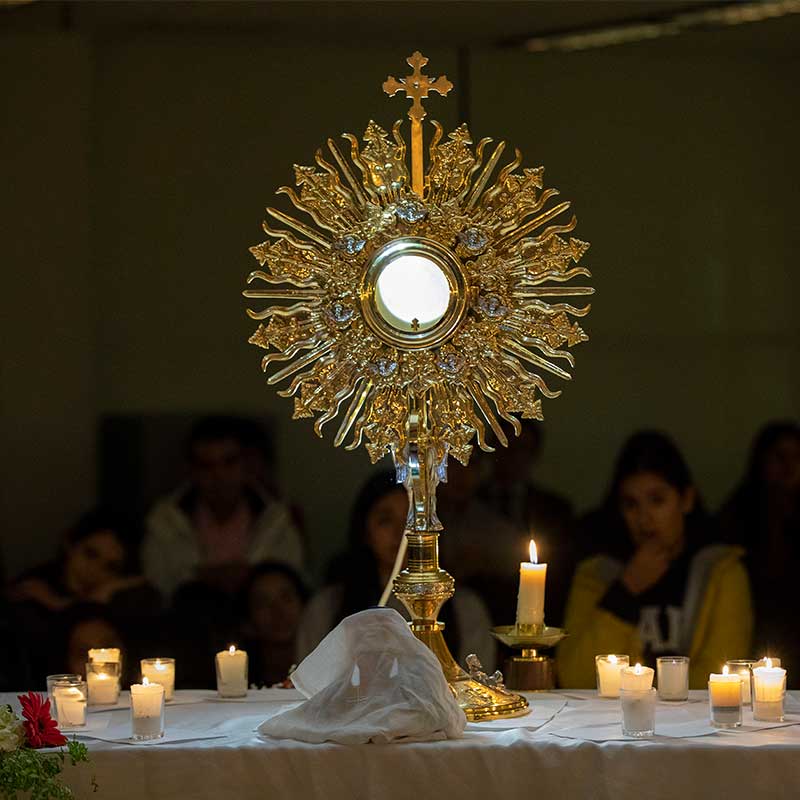 Acompañamiento Espiritual en Manos de Dios