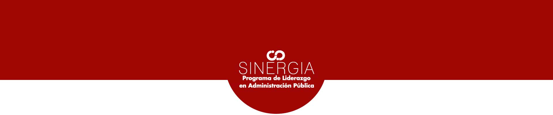 Programa de liderazgo Sinergia