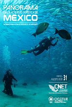 Panorama de la Actividad Turística en México 31
