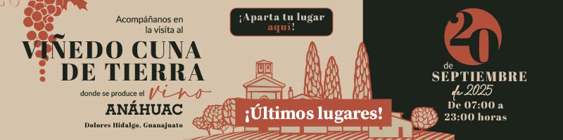 viñedo cuna de tierra