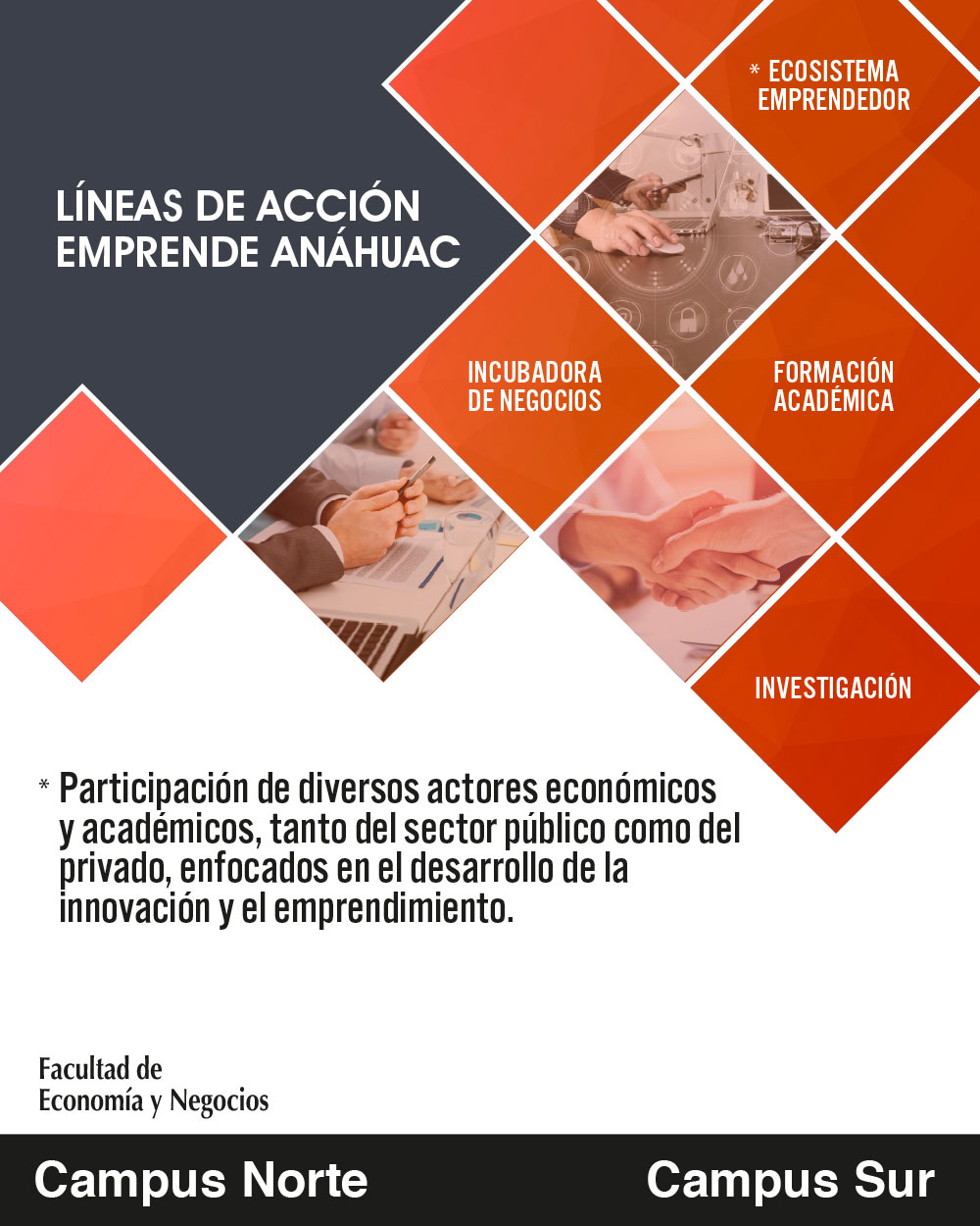 Líneas de acción