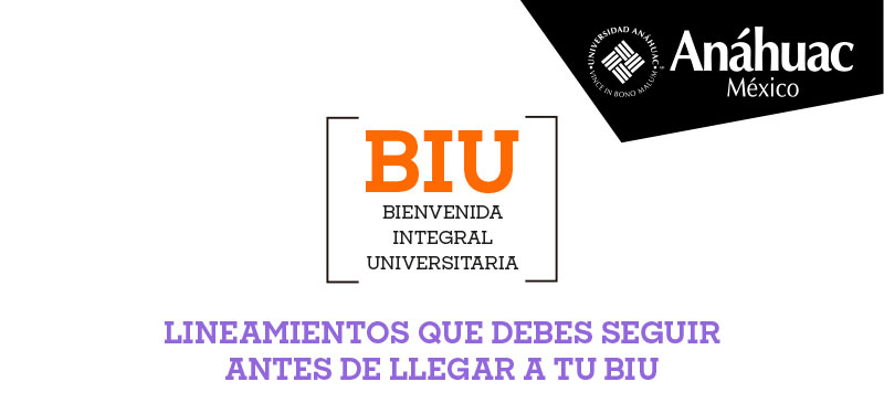 BIU Lineamientos