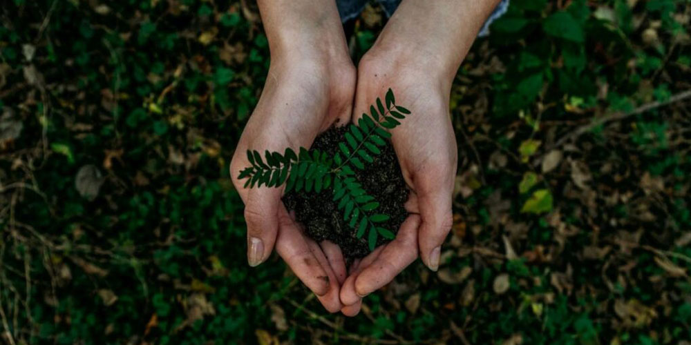 IDEA Hacia una empresa más sustentable: los beneficios de implementar los criterios ESG