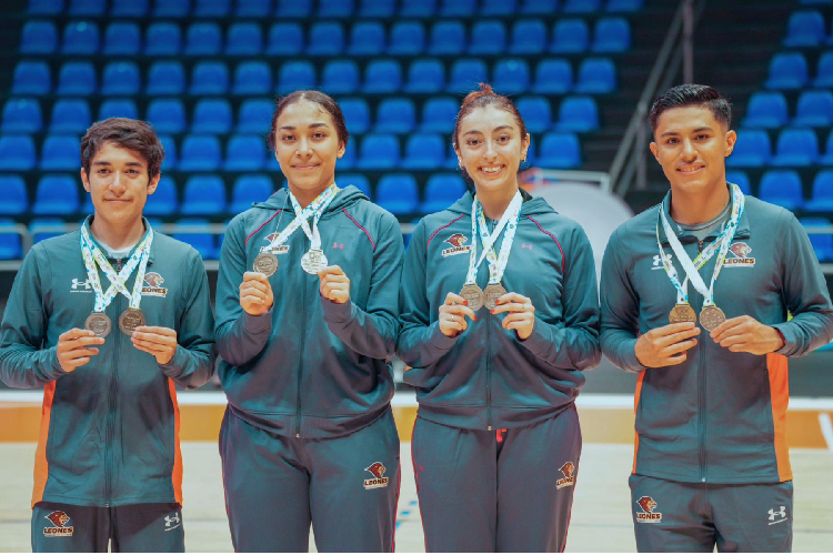 Bádminton equipos