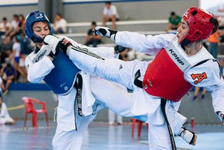 Taekwondo
