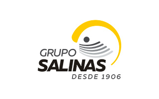 Grupo Salinas