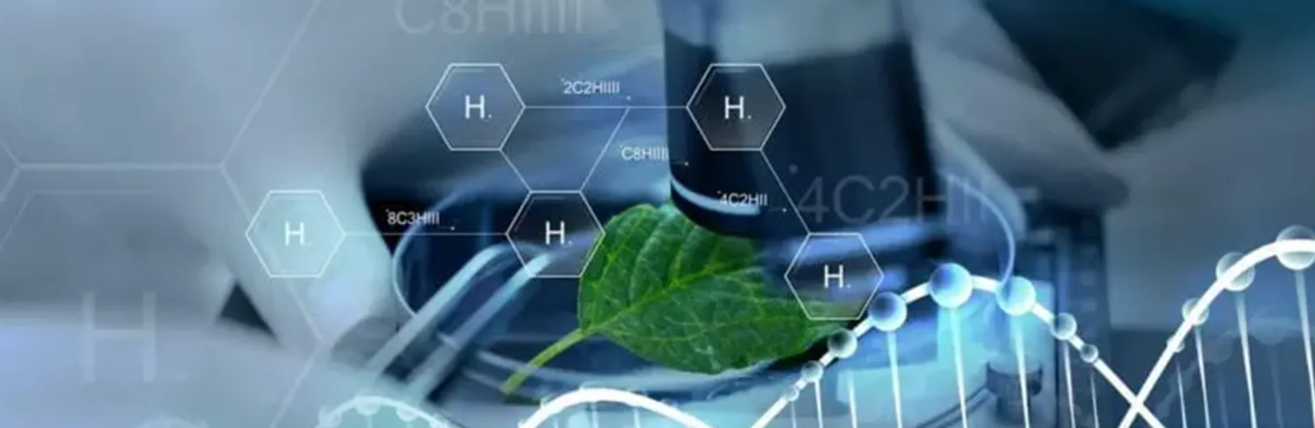 Doctorado en Bioética Aplicada