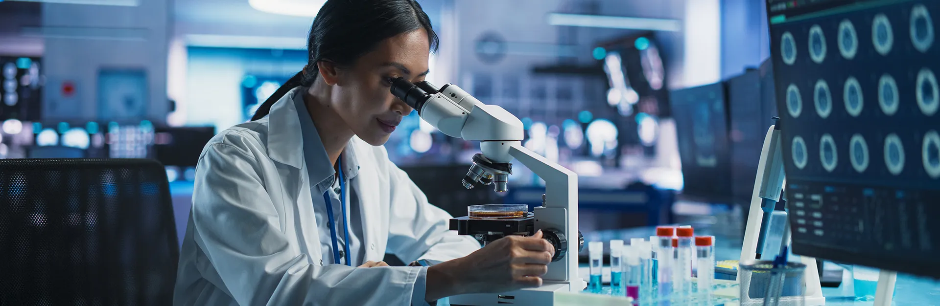 Maestría en Bioética, En Línea - En Español