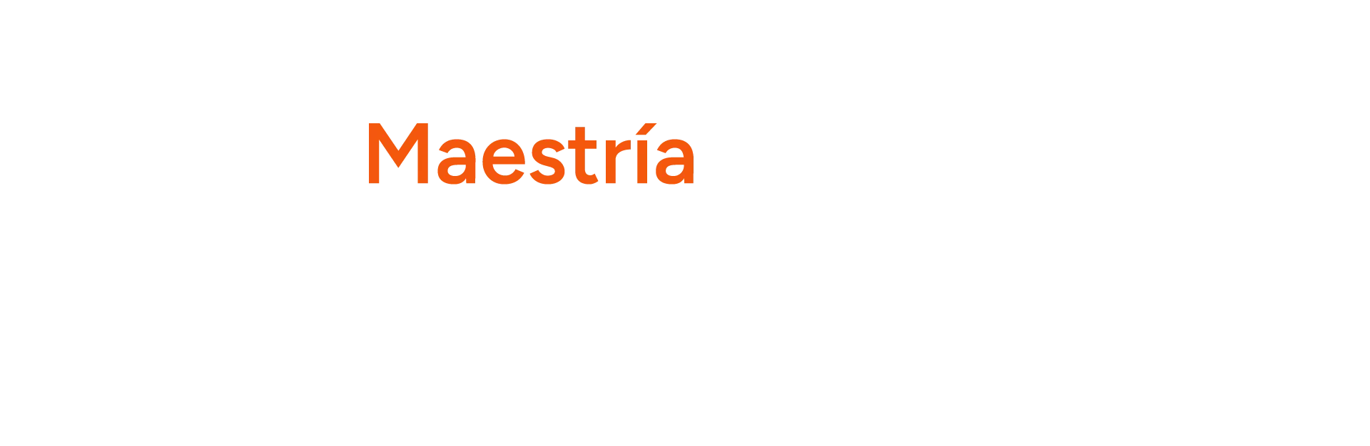 <span>Maestría en Riesgo</span>