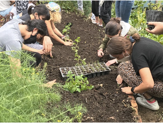 Alumnos de Responsabilidad Social visitan el Huerto Urbano Tlatelolco