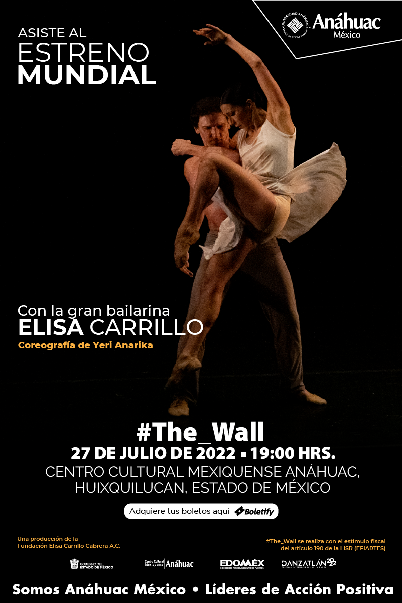 Elisa Carrillo The Wall