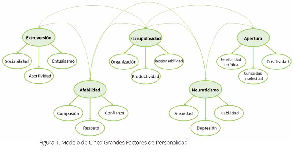 Factores de personalidad asociados a la reserva cognitiva: un estudio longitudinal en línea