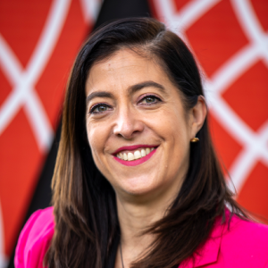 Luz Elena Concepción Zelayarán Carriles