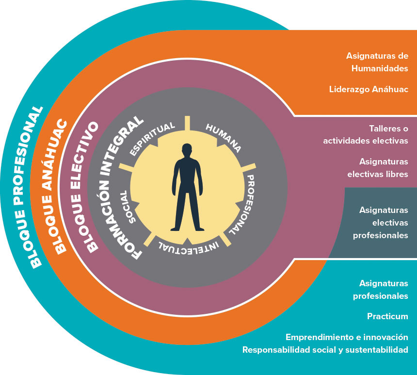 Modelo Formativo Anáhuac