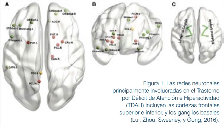 Psicoradiología: el futuro del diagnóstico y tratamiento psiquiátrico