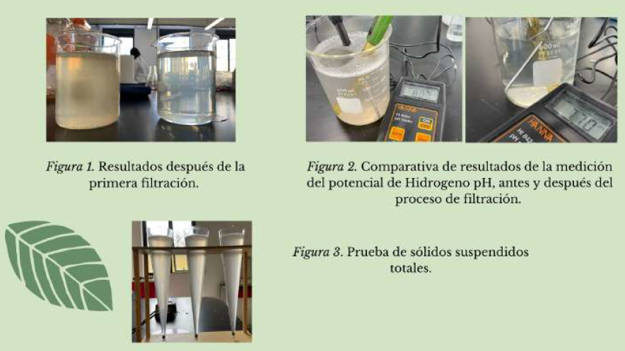 Sistema de biofiltro de bajo costo para el tratamiento de aguas domésticas de lavado