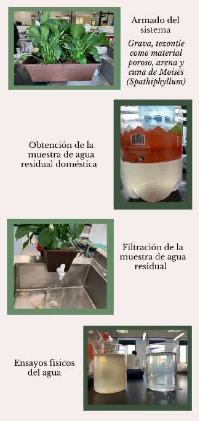 Sistema de biofiltro de bajo costo para el tratamiento de aguas domésticas de lavado