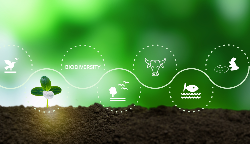 Biodiversidad de México y antiespecismo: la mirada ética de la responsabilidad social
