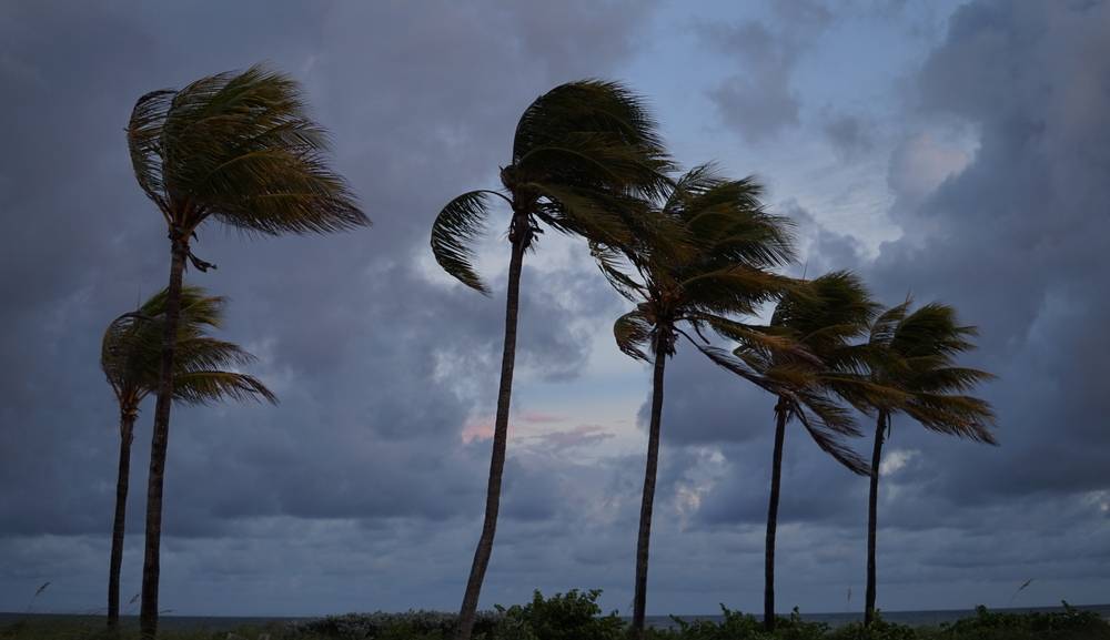 Huracanes y desastres naturales: amenazas graves para nuestra salud mental 