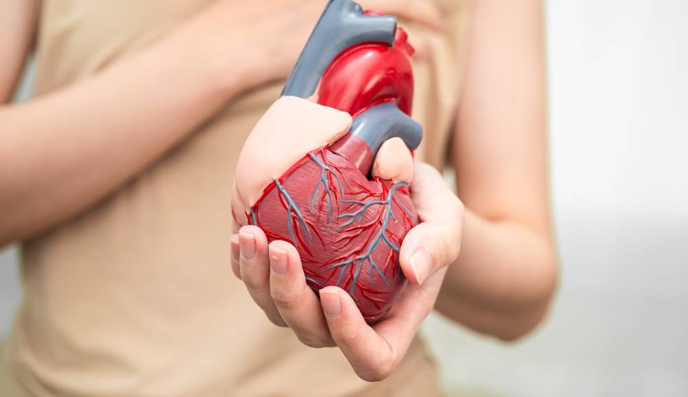 El SOP y su relación con la enfermedad cardiovascular