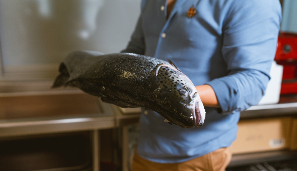 El origen del sabor marino: masterclass de pesca y corte