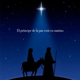 Noche Navideña 2025