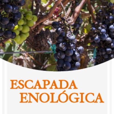 Escapada Enológica