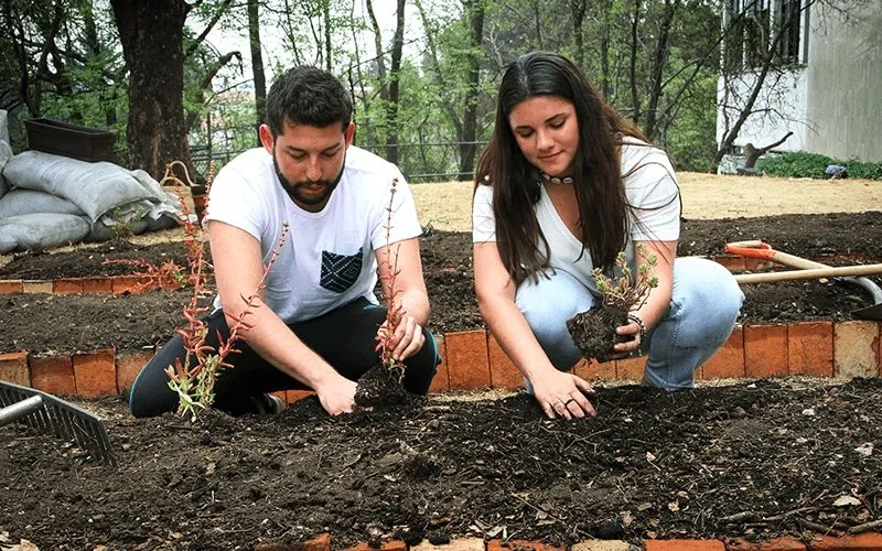 Licenciatura  En Dirección en Responsabilidad Social y Desarrollo Sustentable