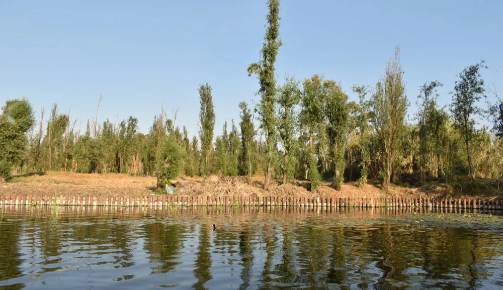 Arquitectura y naturaleza: la herencia del paisaje chinampero mesoamericano