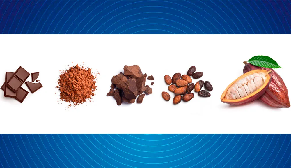 Aplicaciones potenciales del cacao en la neuropatía diabética 
