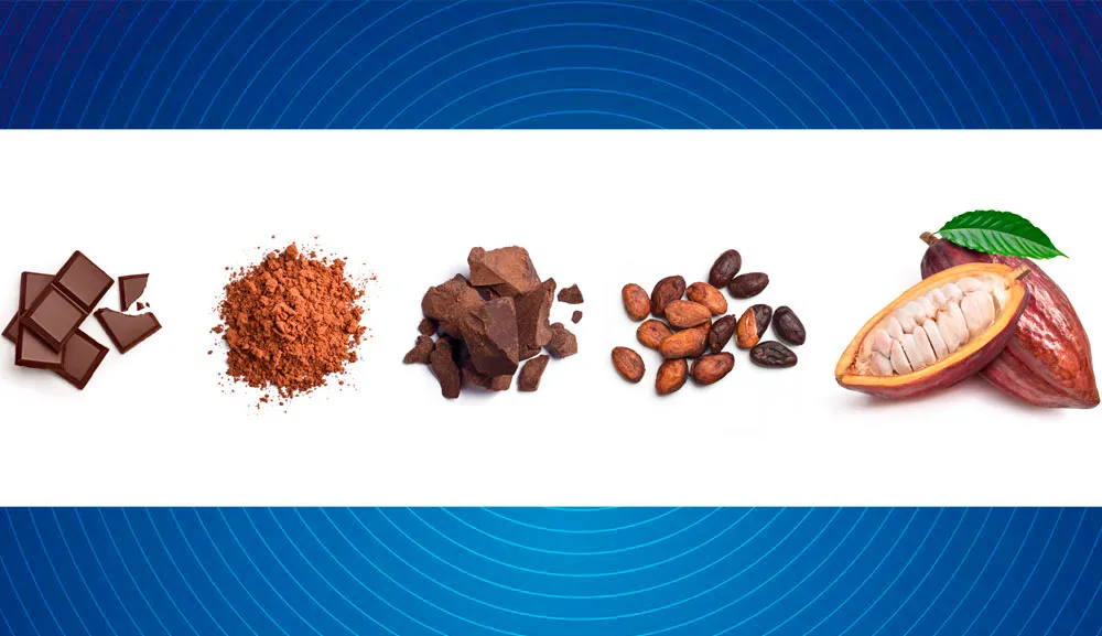Aplicaciones potenciales del cacao en la neuropatía diabética