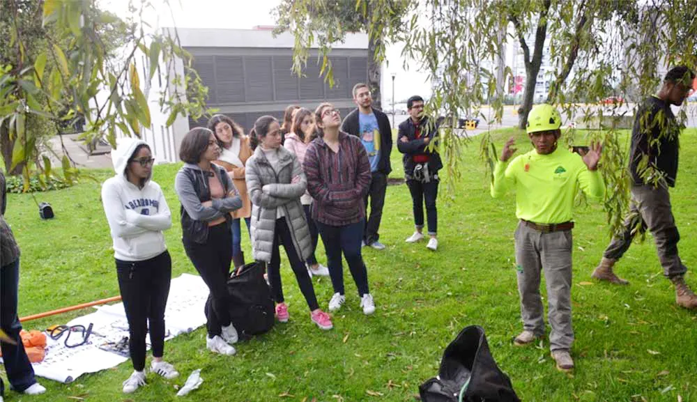 Alumnos de Diseño realizan práctica de poda contra el muérdago