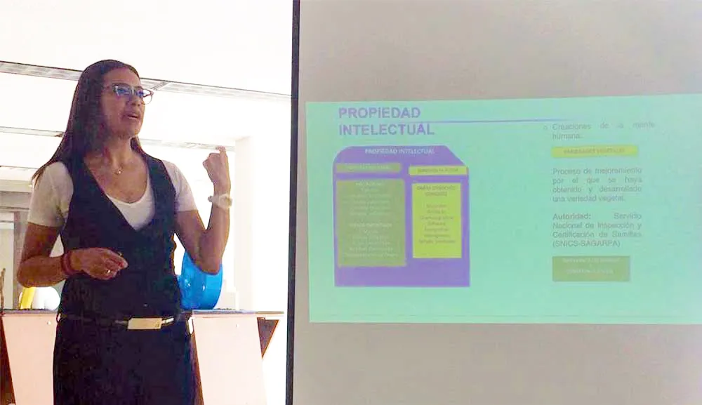 Mayra Ramos habla a los alumnos sobre los aspectos legales en el diseño