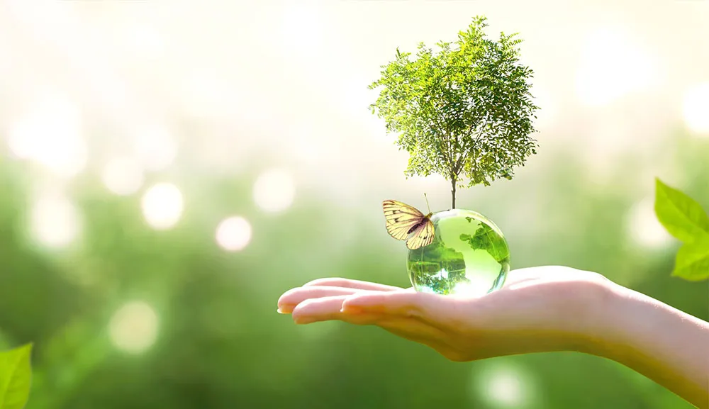 Energía orgánica: La esperanza tecnológica de nuestro futuro