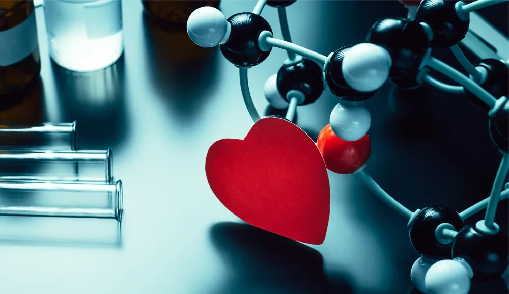 ¿Qué dice la ingeniería biomédica sobre el amor y el cuerpo humano?