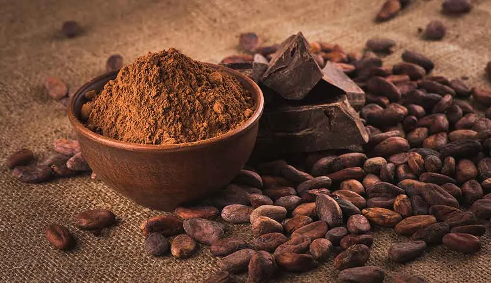 ¿Qué es el cacao y de dónde proviene?