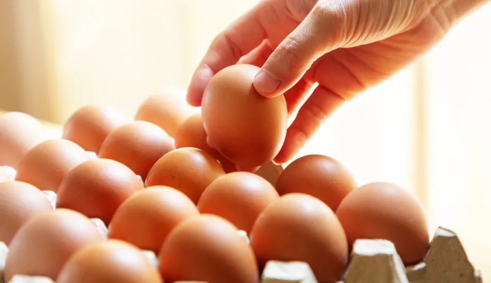 El huevo: alimento esencial y funcional en la gastronomía mexicana