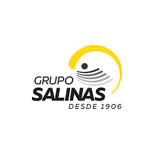 grupo salinas