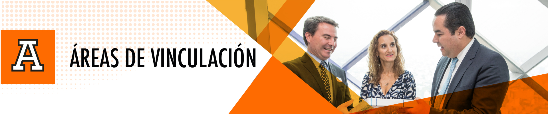 Header Áreas de Vinculación