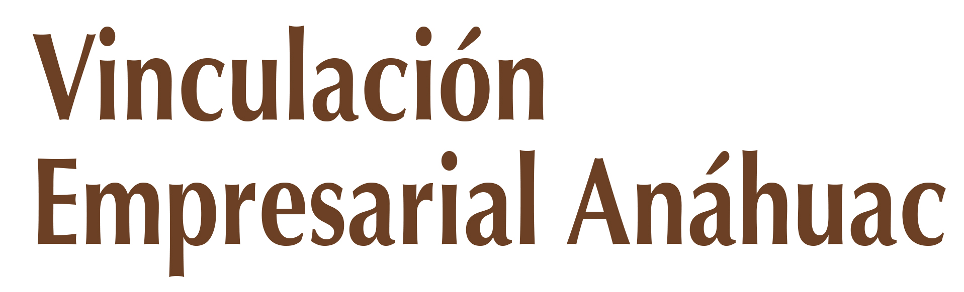 Dirección Vinculación Empresarial Anáhuac