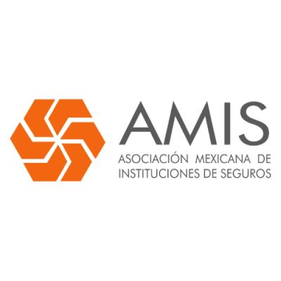 Cátedra de Vinculación AMIS