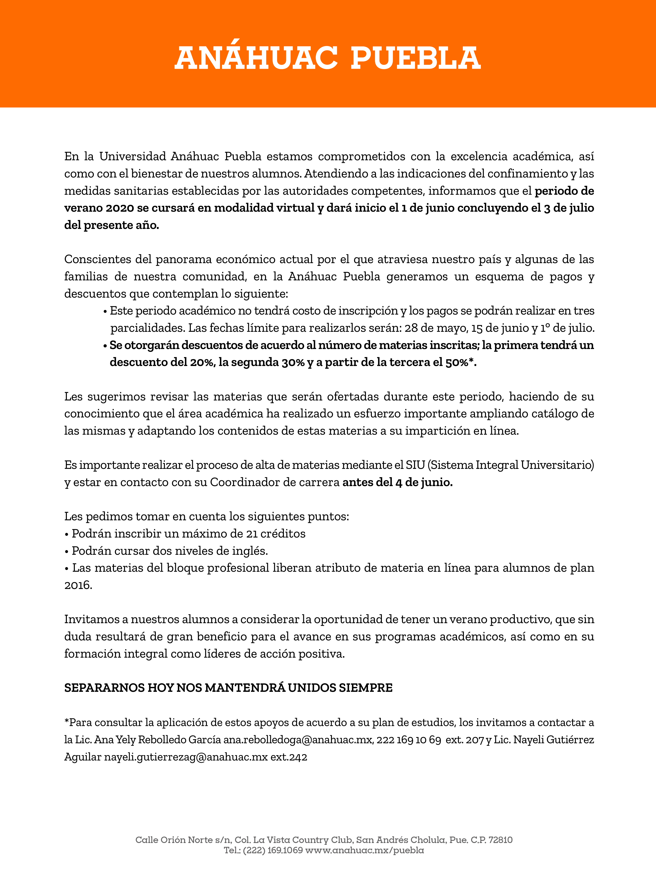 Verano en línea