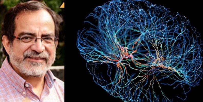 ¿Qué es la neurociencia?