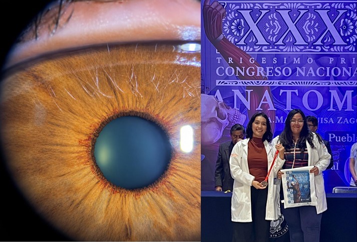 GANADORAS FOTO MORFORLOGÍA