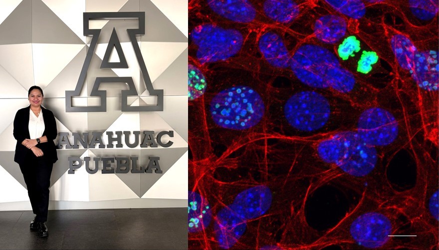 INVESTIGACIÓN-CONCURSO-ESPAÑA