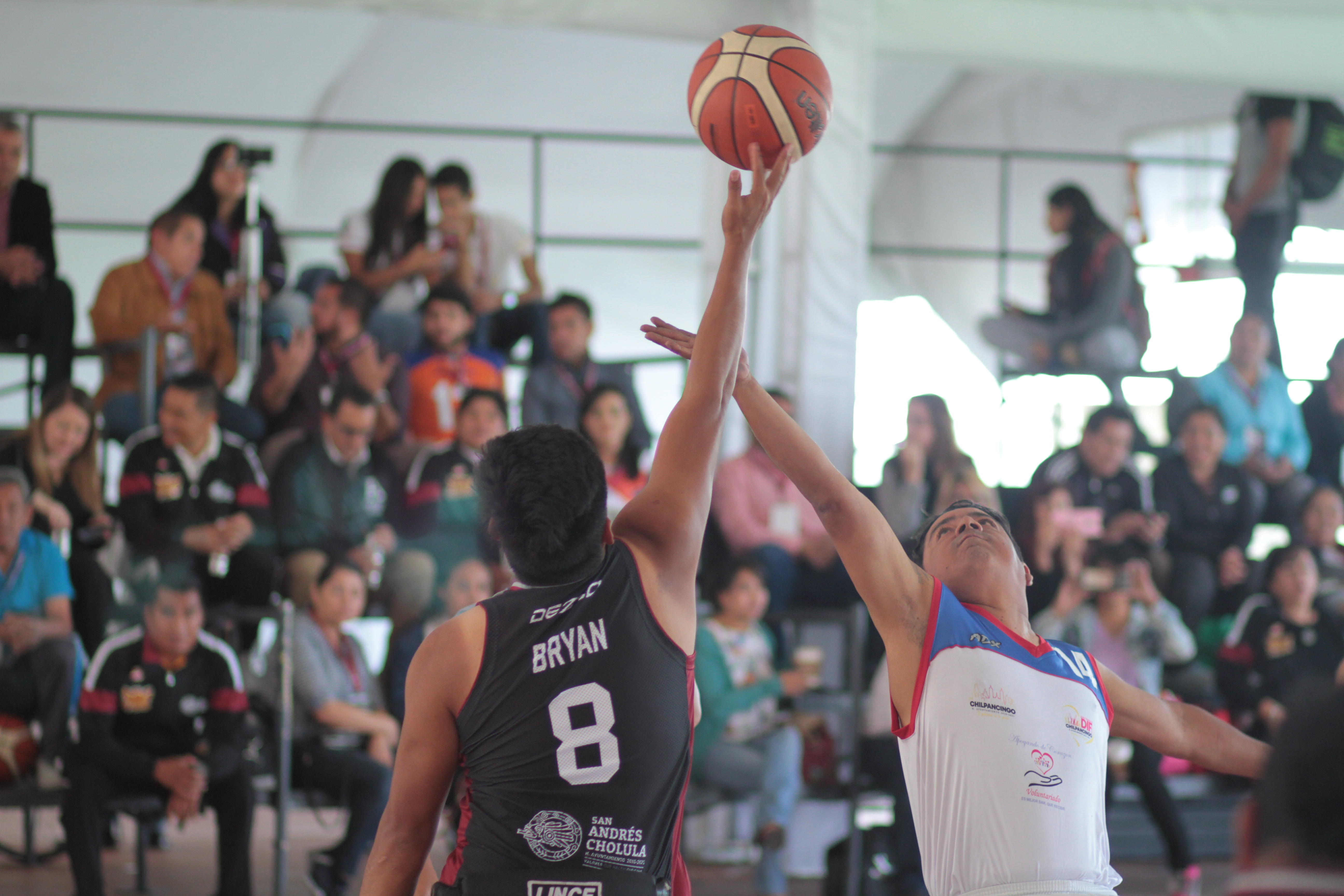 torneo de basquetball