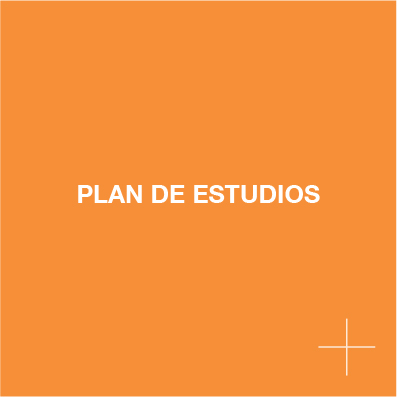 Plan Estudios