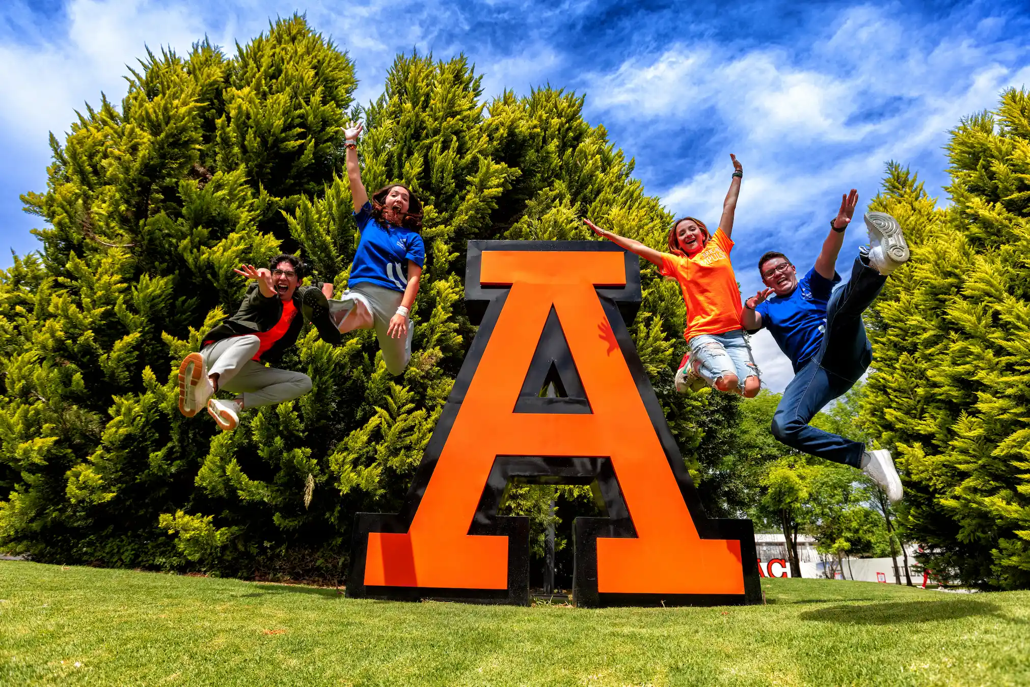 Estudiantes disfrutando una experiencia de vida universitaria